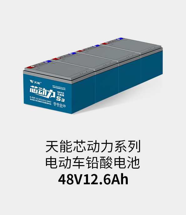 人生就是博电池48v12ah