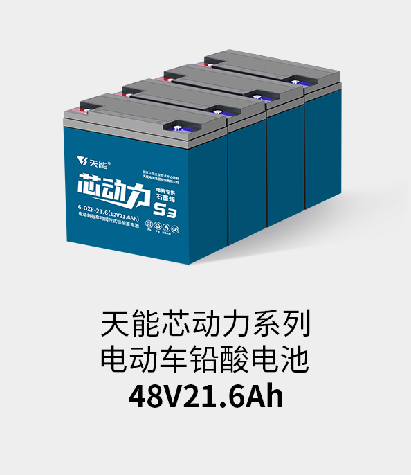 人生就是博电池48v20ah