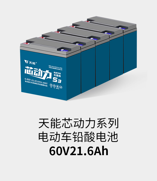 人生就是博电池60v20ah