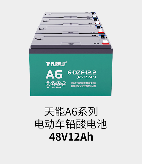 人生就是博电池48v12ah