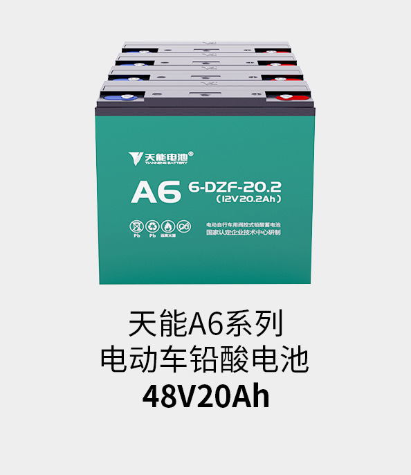 人生就是博电池48v20ah