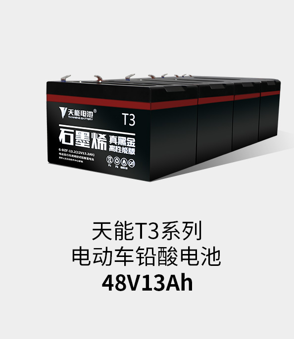 人生就是博T3系列48v13ah