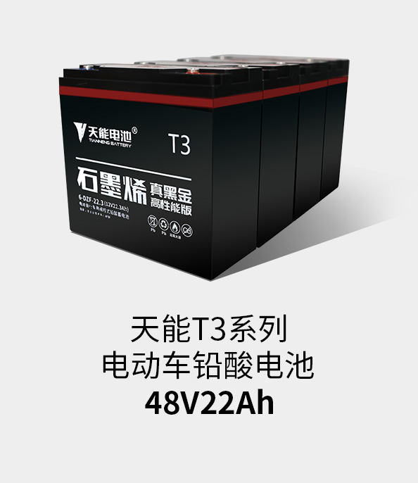 人生就是博T3系列48v22ah