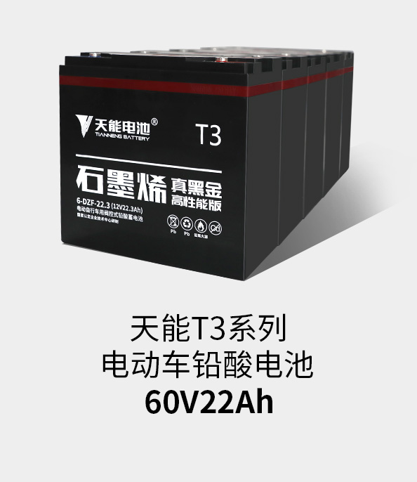 人生就是博T3系列60v22ah